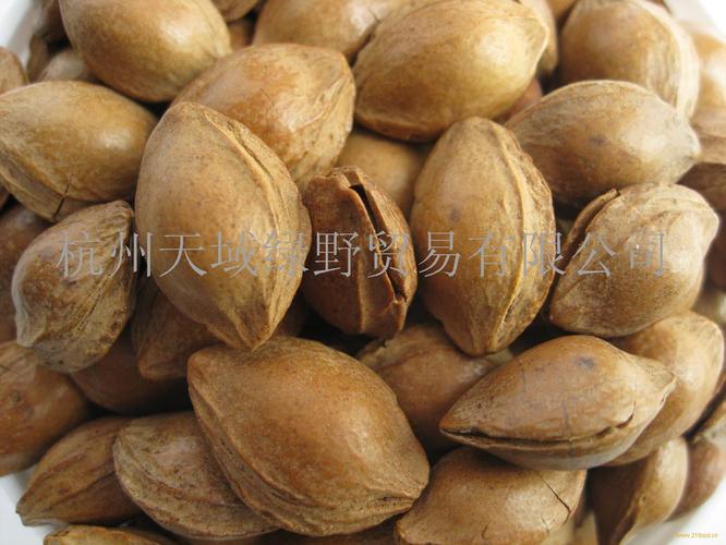 小银杏与杏怪贸易 一个奇幻世界的生态经济观察